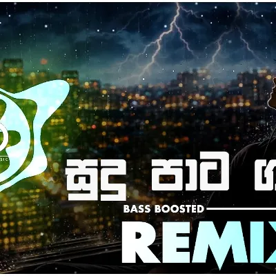Sudu Pata Gaume Remix THABLA Mix Evin Beats Remix (Bass Boosted)